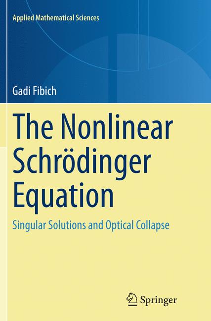 The Nonlinear SchrÃ… - image