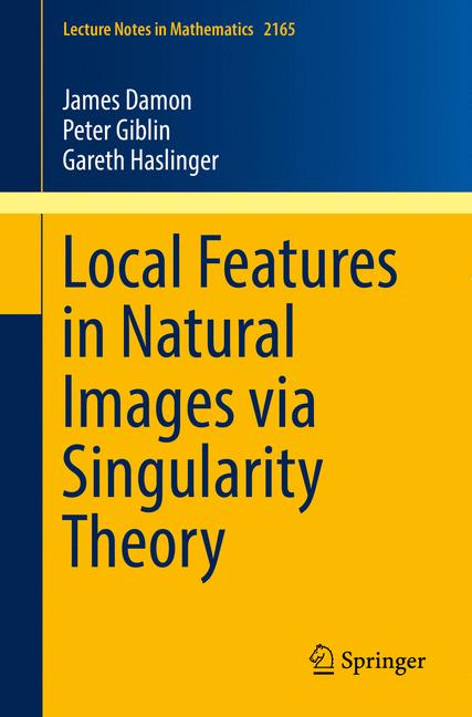 Local Features In N… - image