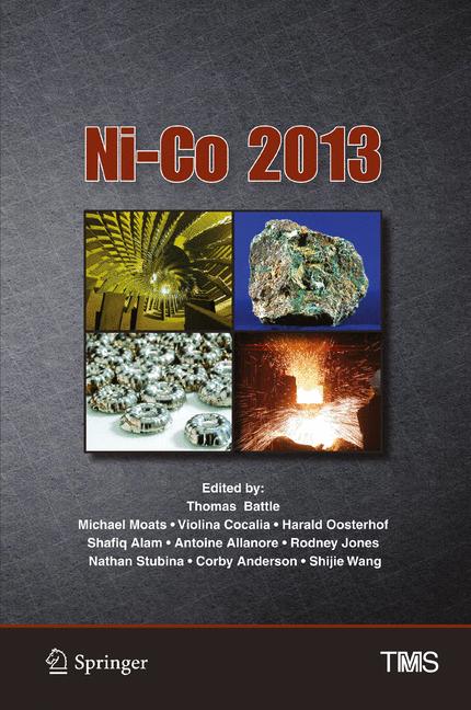 Ni-Co 2013 - image