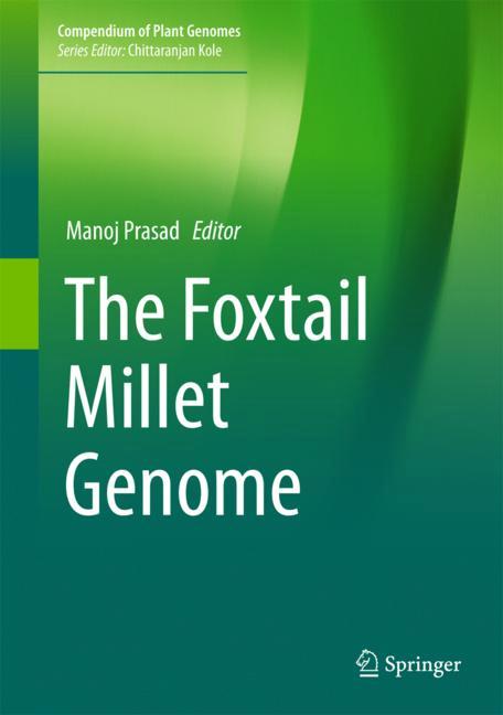 The Foxtail Millet …