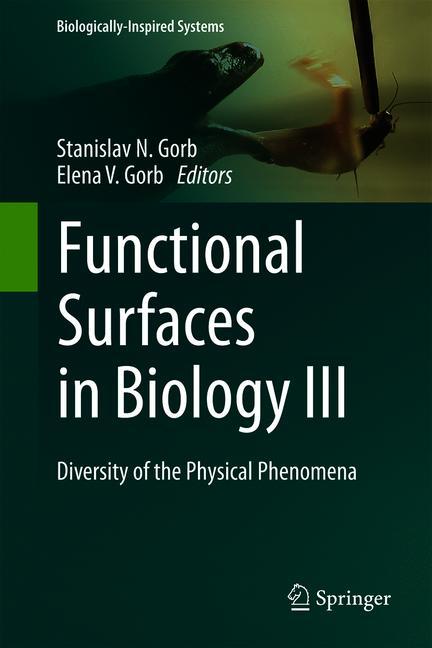 Functional Surfaces…