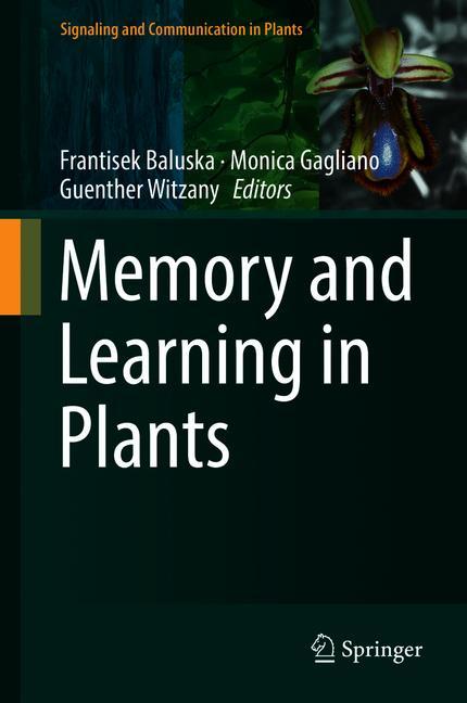 Memory And Learning…