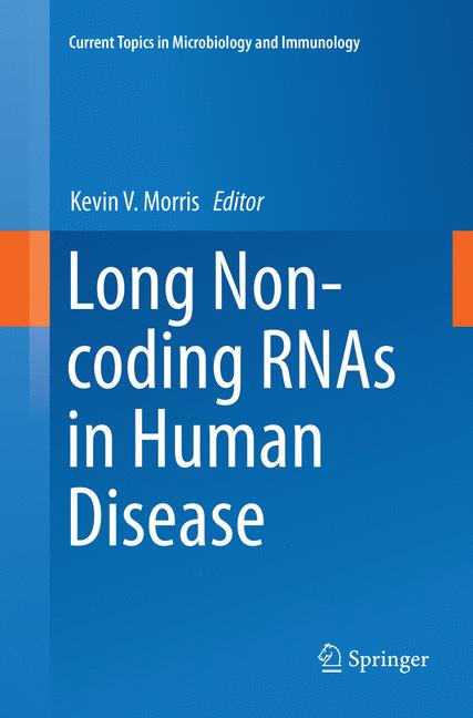 Long Non-Coding Rna… - image