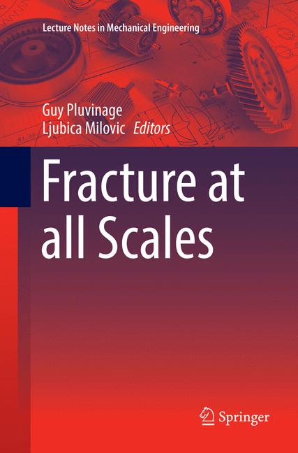 Fracture At All Sca… - image