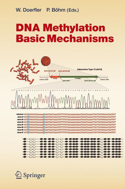 Dna Methylation: Ba… - image