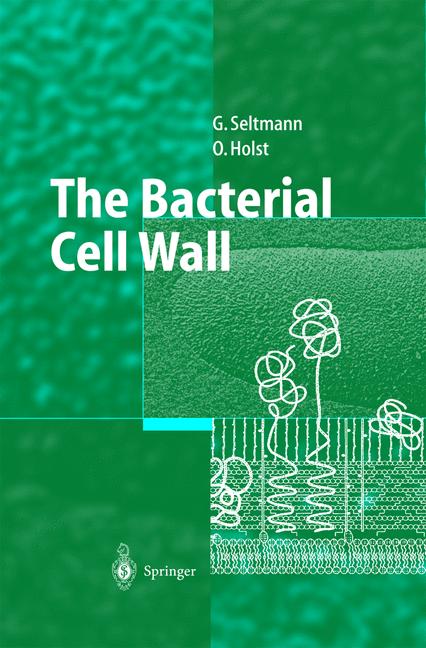 The Bacterial Cell … - image