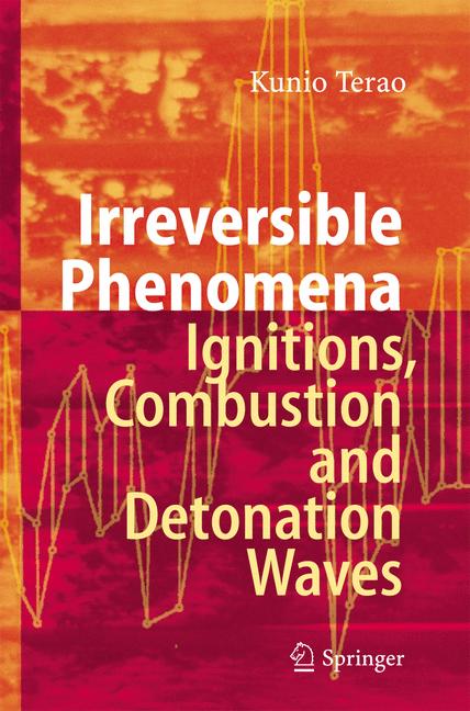 Irreversible Phenomena : Ignitions, Combustion and Detonation Waves