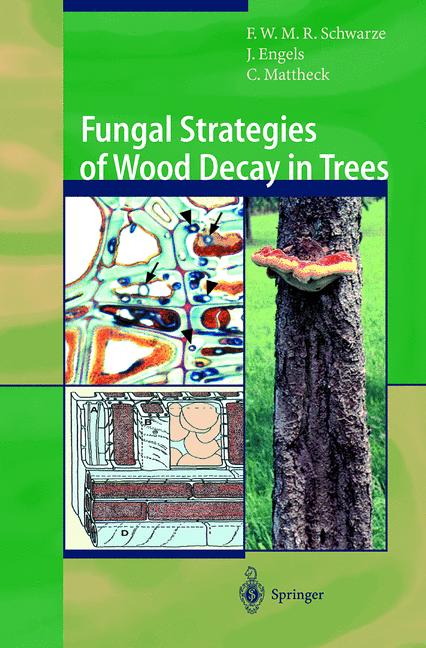 Fungal Strategies O… - image