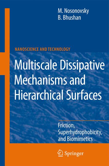 Multiscale Dissipat… - image