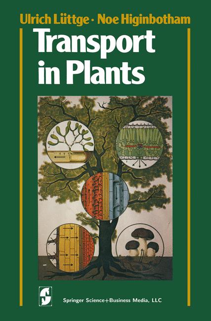 Transport In Plants - image