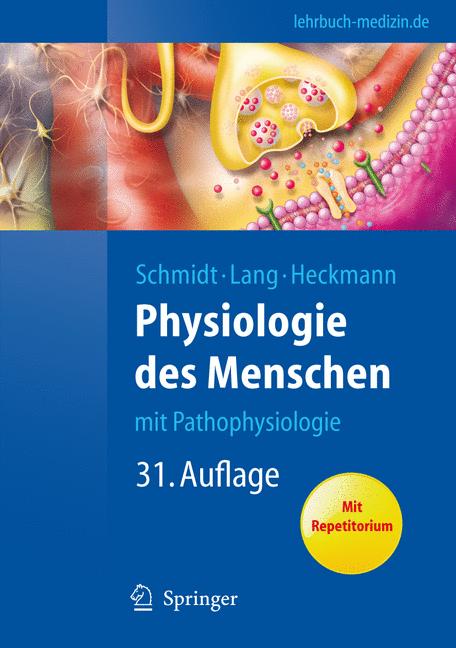 Physiologie Des Men…