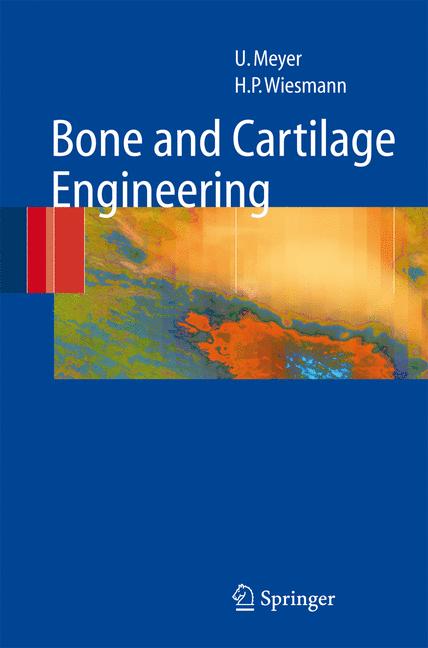 Bone And Cartilage … - image