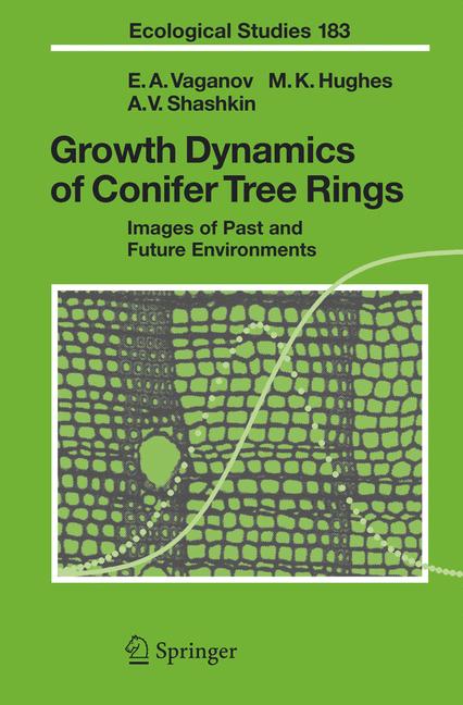 Growth Dynamics Of … - image