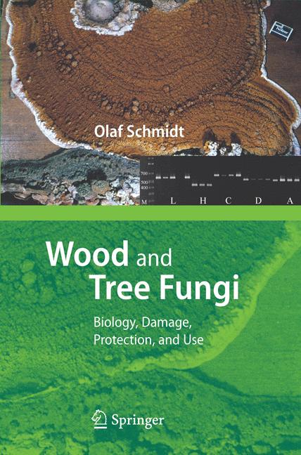 Wood And Tree Fungi - image