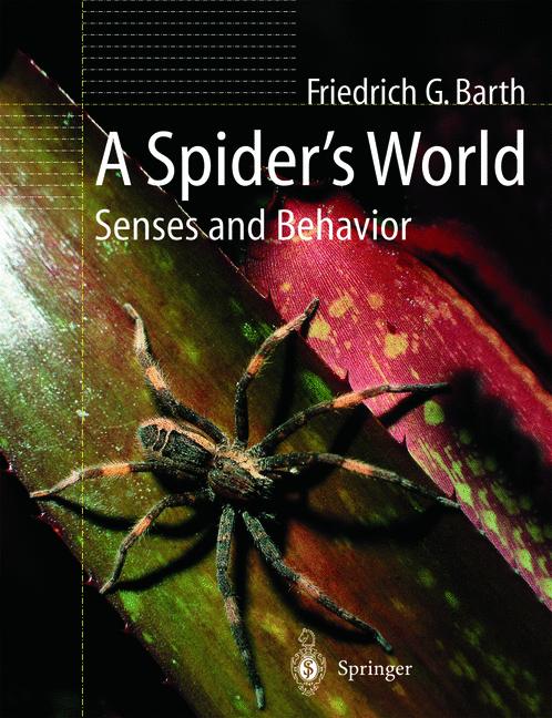 A SpiderâS World