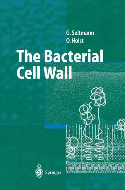 The Bacterial Cell … - image