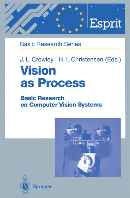 Vision As Process