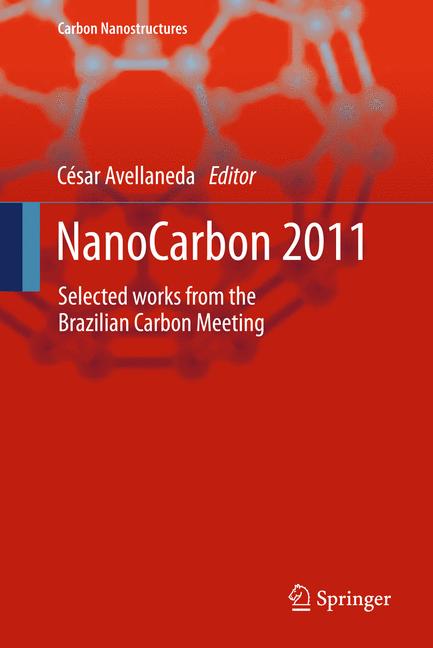 Nanocarbon 2011 - image