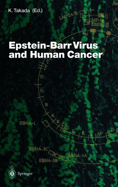 Epstein-Barr Virus … - image