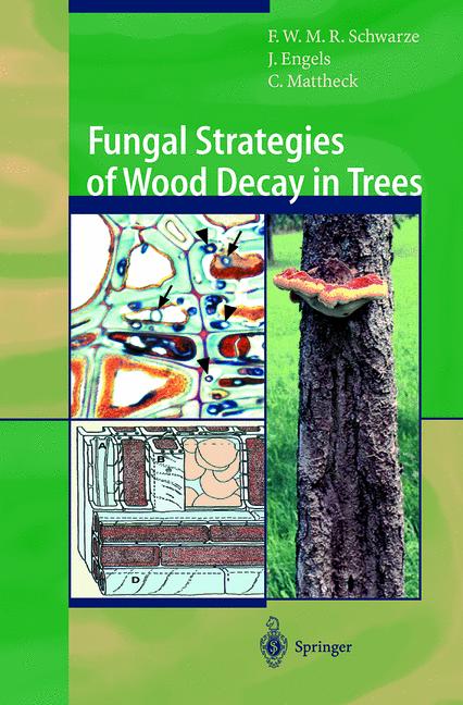 Fungal Strategies O… - image