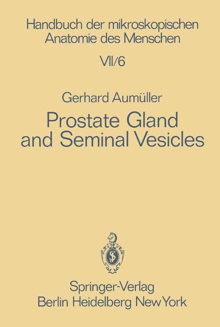 Prostate Gland And …