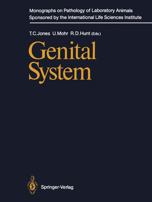 Genital System - image
