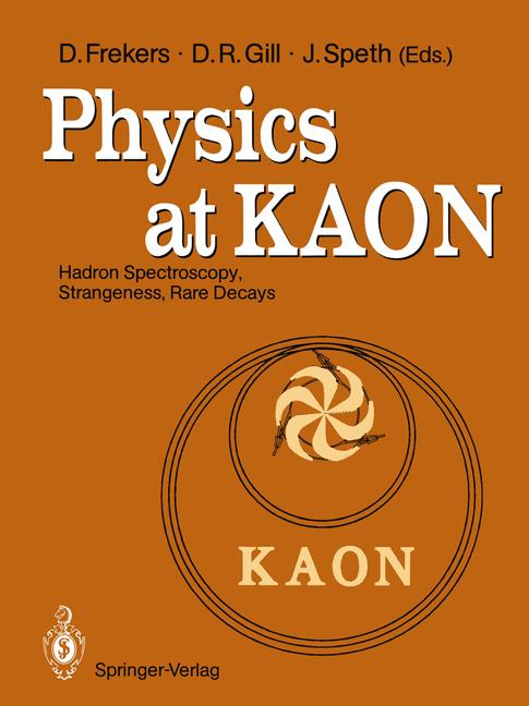 Physics At Kaon - image