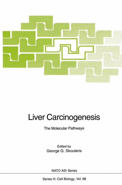 Liver Carcinogenesis - image