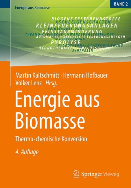 Energie Aus Biomasse