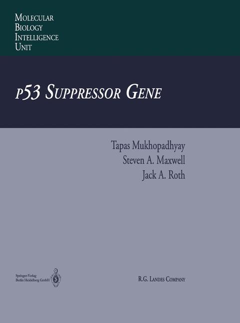 P53 Suppressor Gene - image