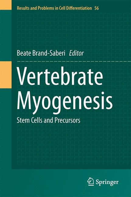 Vertebrate Myogenesis : Stem Cells and Precursors