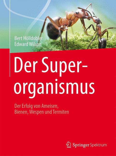 Der Superorganismus - image