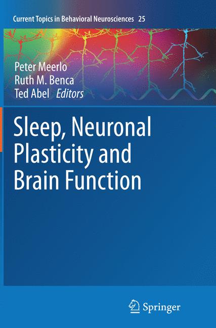 Sleep, Neuronal Pla… - image