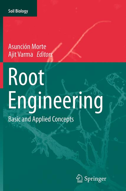 Root Engineering - image