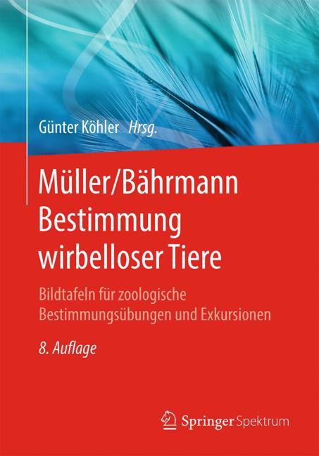 MÃ¼Ller/BÃ¤Hrmann B…