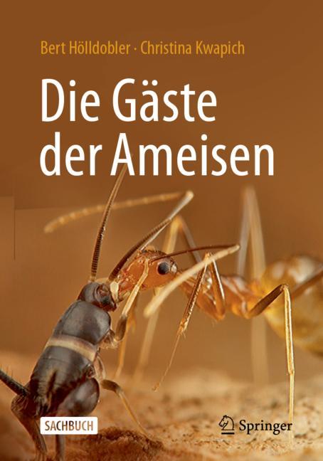 Die GÃ¤Ste Der Amei…