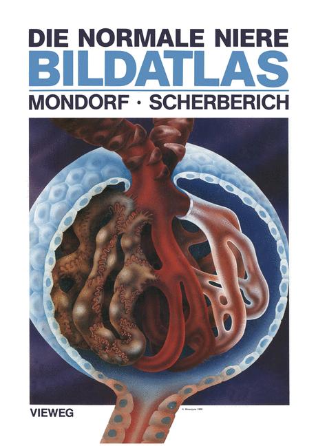 Die Normale Niere Bildatlas