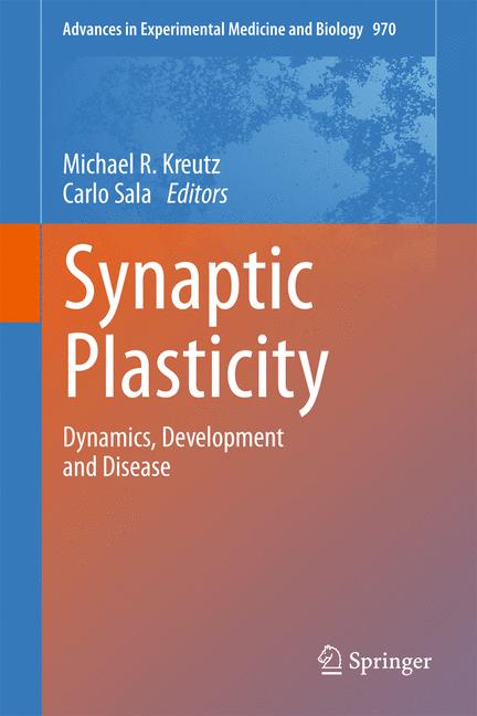 Synaptic Plasticity