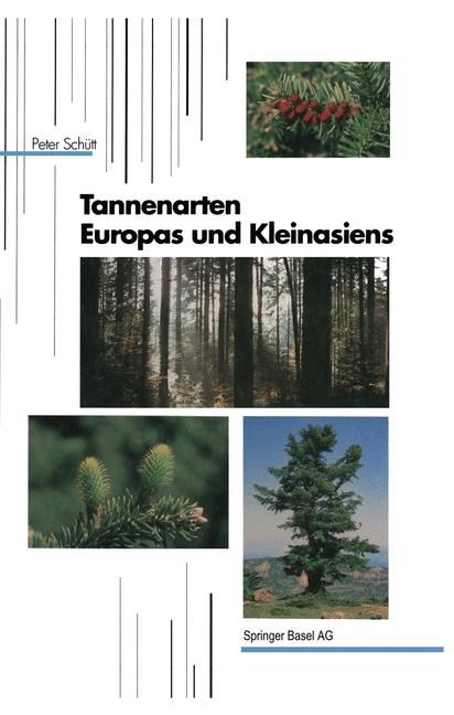 Tannenarten Europas Und Kleinasiens