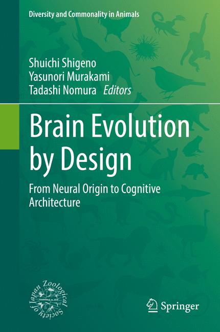 Brain Evolution By … - image