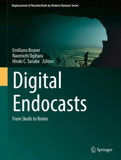 Digital Endocasts - image