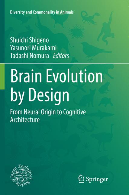 Brain Evolution By … - image