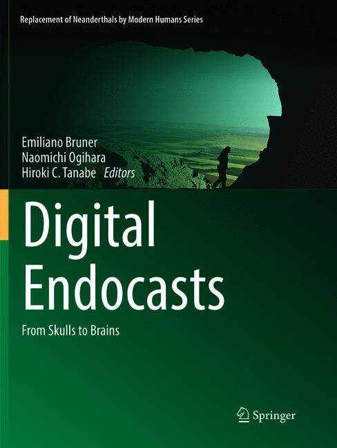 Digital Endocasts - image