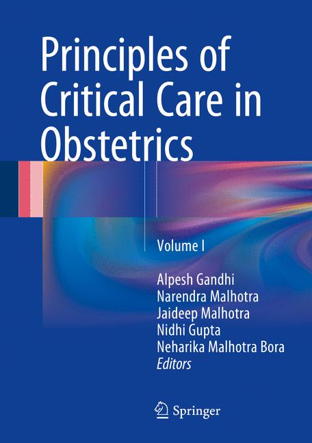 ISBN 9788132226925 product image for Principles of Critical Care in Obstetrics | upcitemdb.com