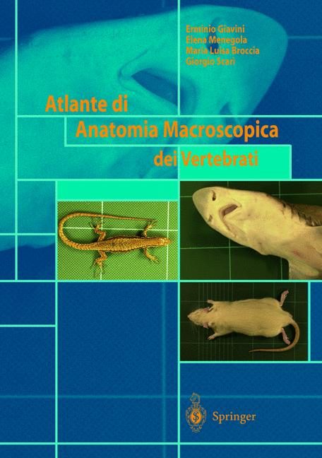 Atlante Di Anatomia… - image