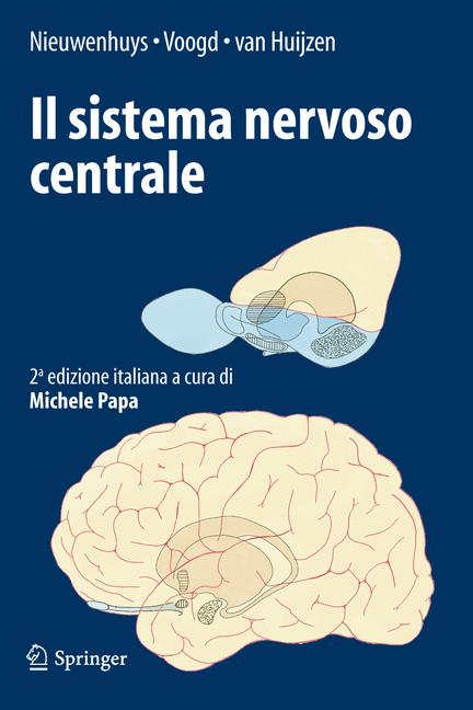 Il Sistema Nervoso …