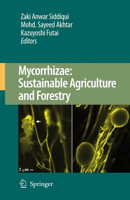Mycorrhizae: Sustai… - image