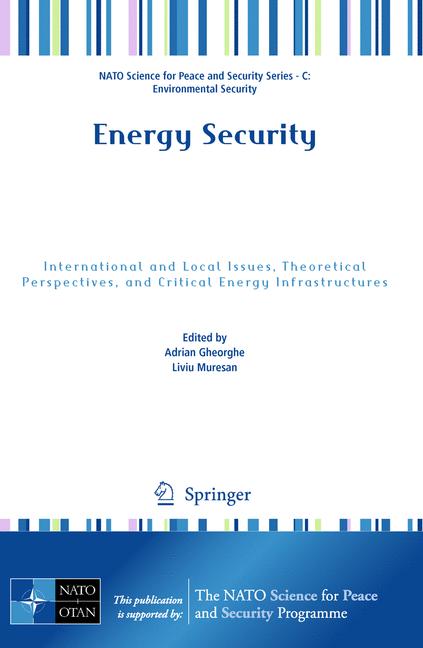 Energy Security : International and Local Issues, Theoretical Perspectives, and Critical Energy Infrastructures