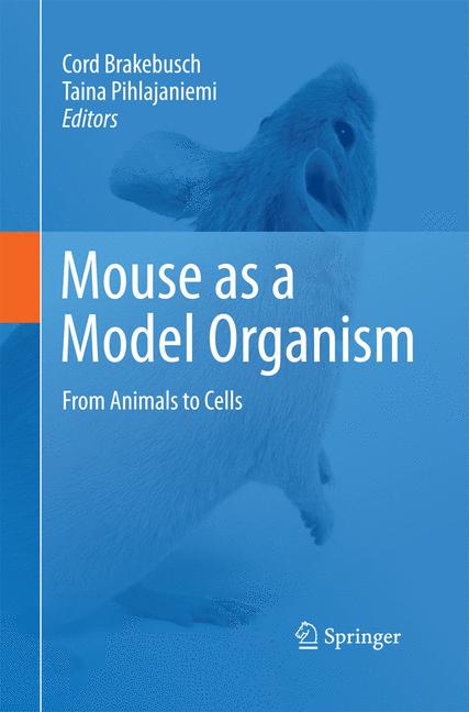 Mouse As A Model Or… - image