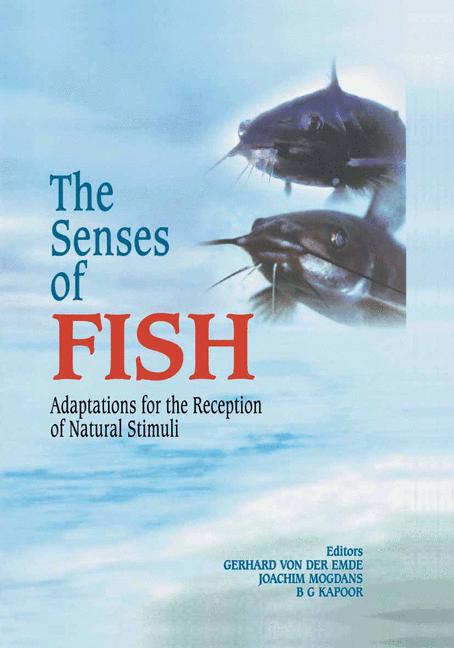 Springer Netherlands The Senses Of Fish